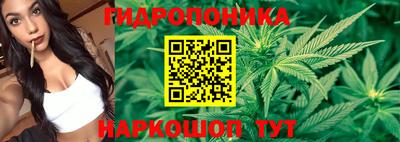 spice Бугуруслан